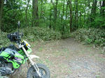 DSCN3300.JPG