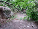 DSCN3302.JPG