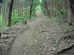 DSCN3306.JPG