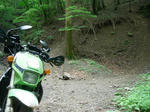 DSCN3369.JPG