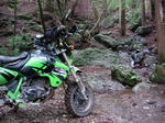 DSCN3375.JPG