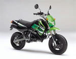 KSR110.jpg