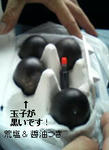 neta-2007-10-8-tamago-2.JPG