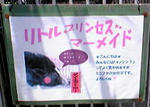 neta-2008-7-19-8.jpg