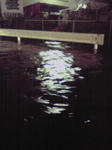 水害2