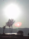 諏訪湖夕方2