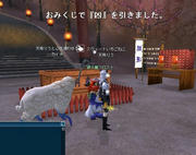 20090108_1033_39.JPG