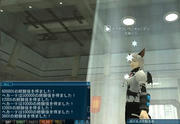 20090202_1054_33.JPG