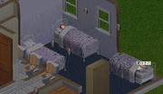 WS000279.JPG