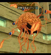 20100304_1716_26.JPG