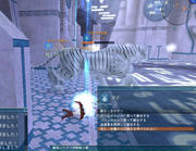 20110803_1129_51.JPG