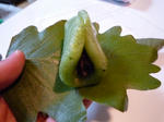 P1010025.JPG