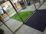 P1010445.JPG