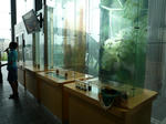 P1030491.JPG