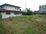P1050285.JPG