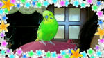 05151277jpeg