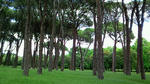 5c78.jpg
