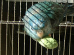 DSCF0085.JPG