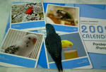 b39e.jpg