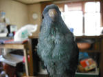 DSCF0107.JPG