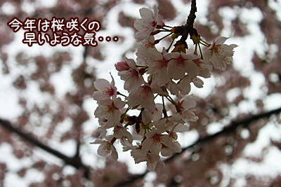 IMG_7949.JPG
