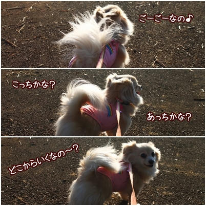 page4.jpg