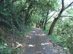 p0489.jpg