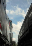p0516.jpg