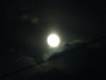 p0567.jpg