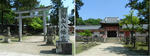 p0645.jpg