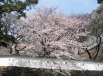 p0748.jpg