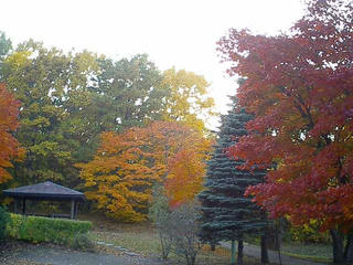 紅葉20071022