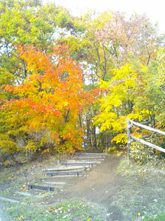紅葉20071022