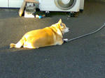 20071125088.jpg