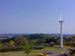 20090429240.jpg