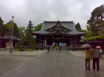 20090505257.jpg