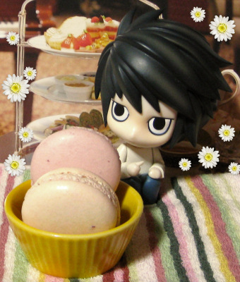 本物のマカロンです