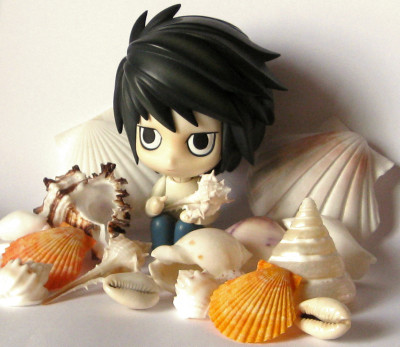 それで貝がらをゴロゴロと…☆