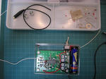 CIMG0285.JPG