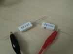 DSCN0517.JPG
