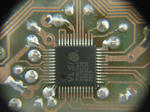 DSCN0637.JPG
