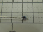 DSCN1365.JPG