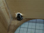 DSCN1499.JPG
