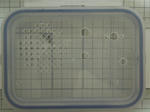 DSCN1804.JPG