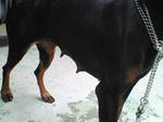 NEC_0550s.jpg