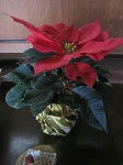 IMG_1454.jpg