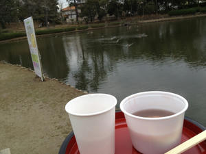 IMG_7288.jpg