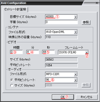 avi06.png