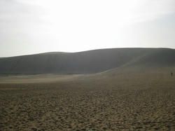 20100614.jpg