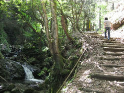 20100614-3.jpg